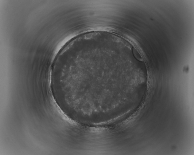 X0000114640804200911101257