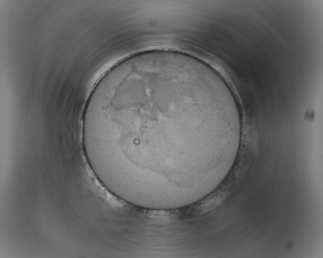 X0000114640807200911101257