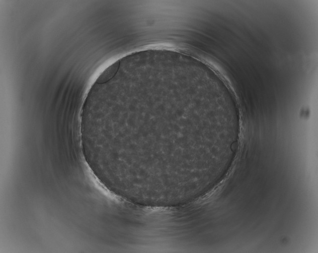 X0000114640808200911101257