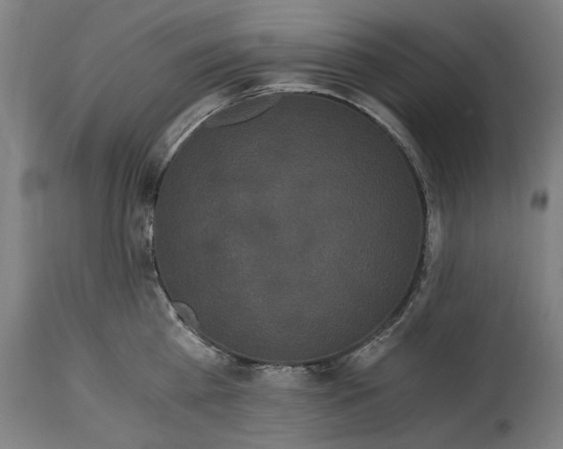 X0000114640809200911101257