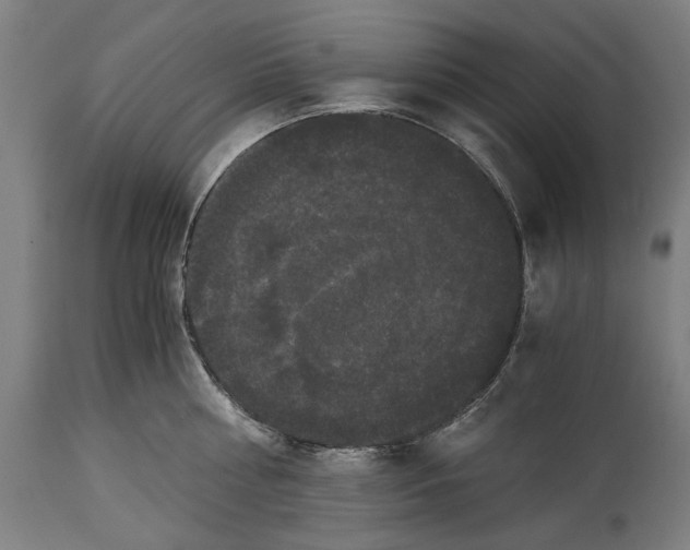 X0000114640810200911101257