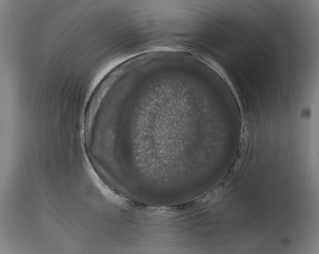X0000114640811200911101257