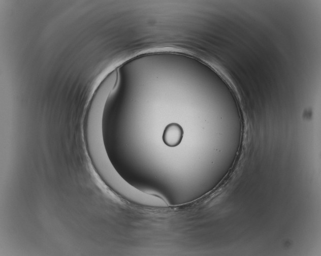 X0000114640813200911101257