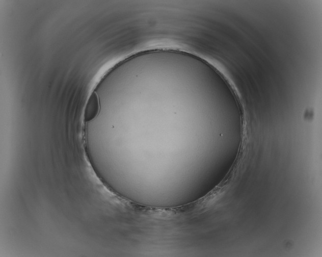 X0000114640815200911101257