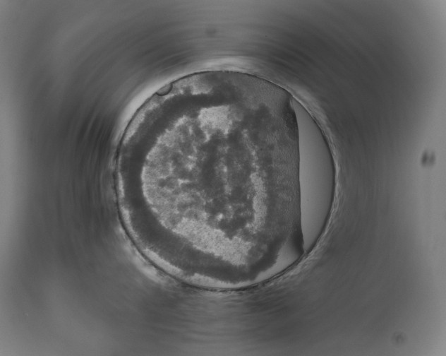 X0000114640816200911101257