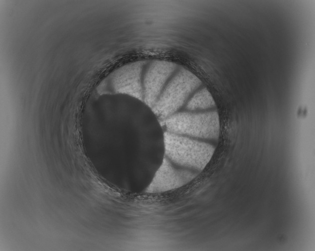 X0000114640817200911101256