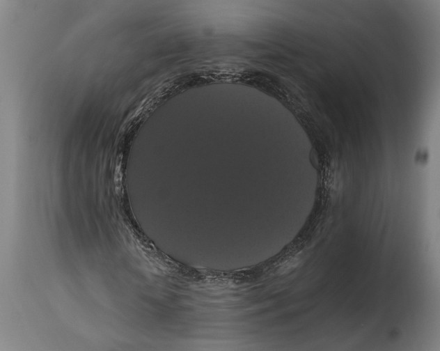 X0000114640818200911101256