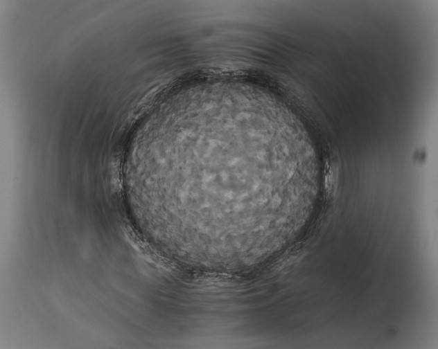 X0000114640819200911101256