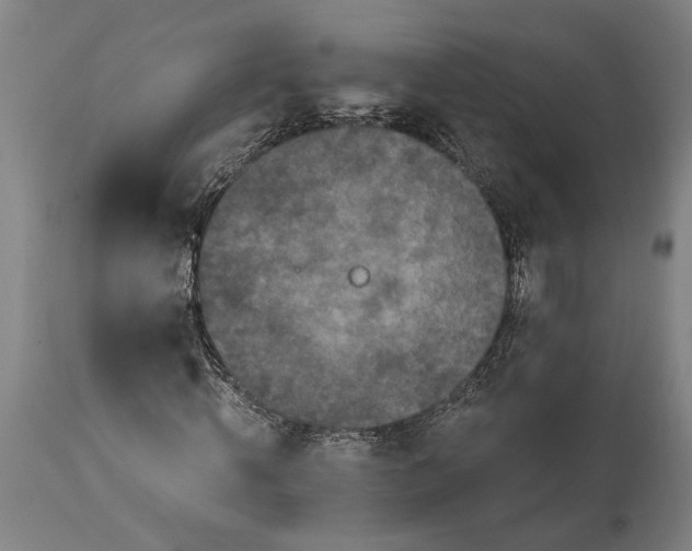 X0000114640820200911101256