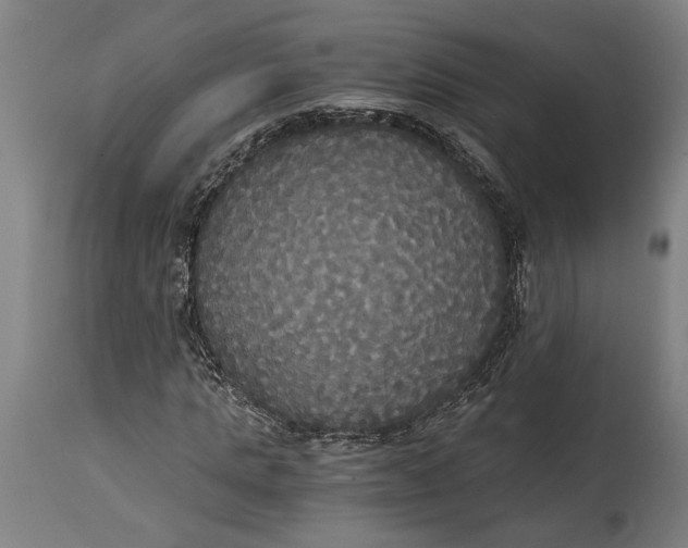 X0000114640821200911101256