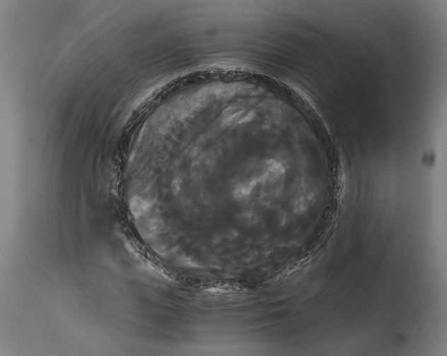 X0000114640823200911101256