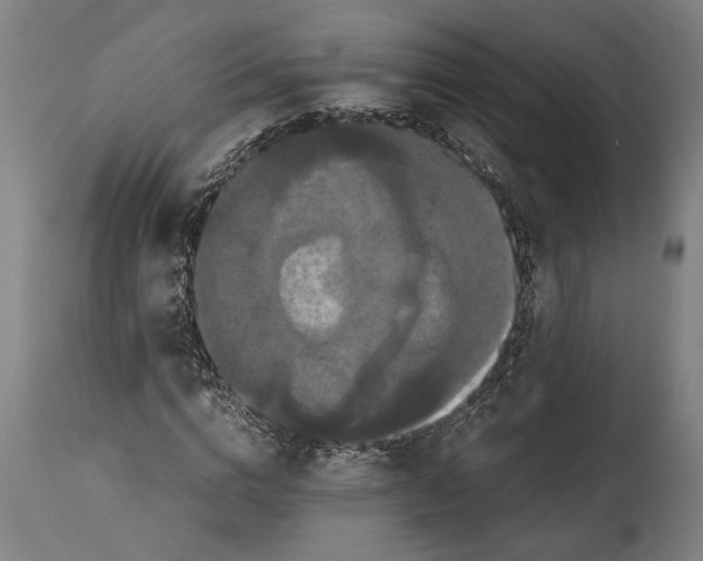 X0000114640824200911101256