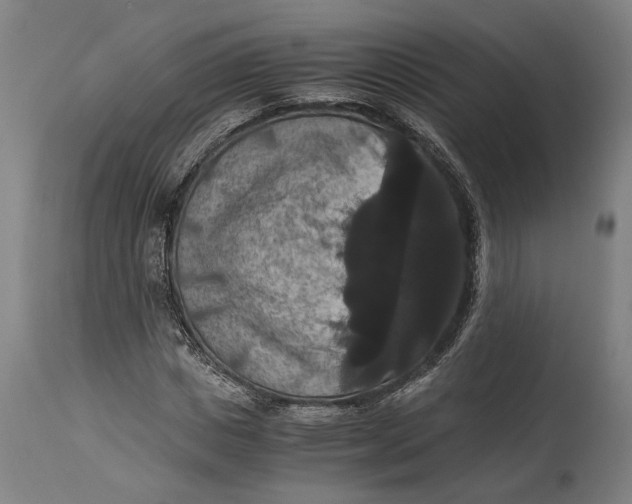 X0000114640825200911101256