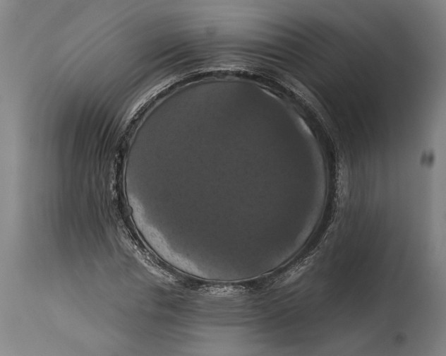 X0000114640826200911101256