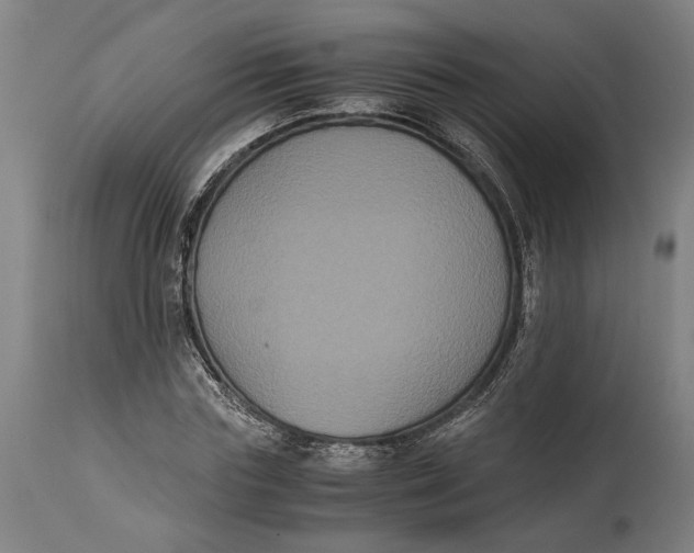 X0000114640827200911101256