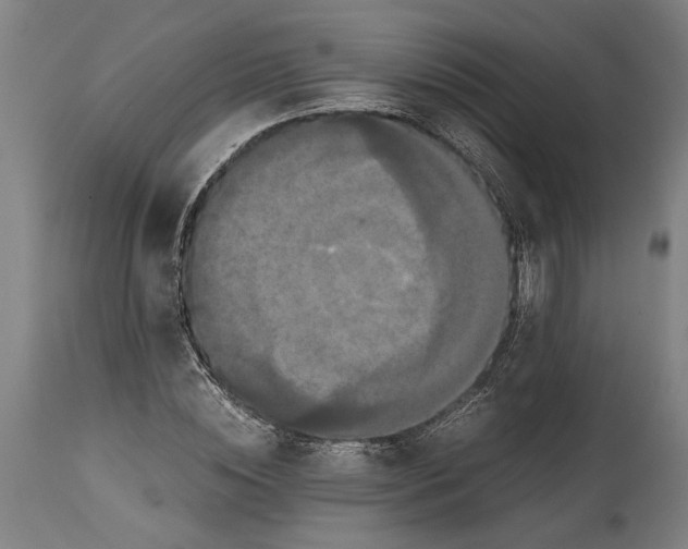 X0000114640828200911101256