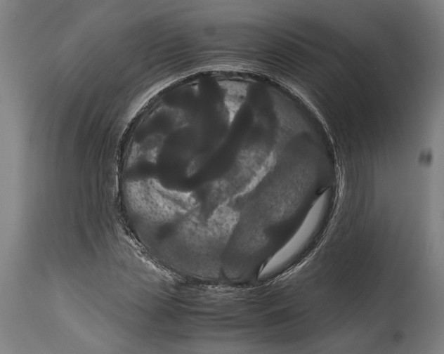 X0000114640829200911101256