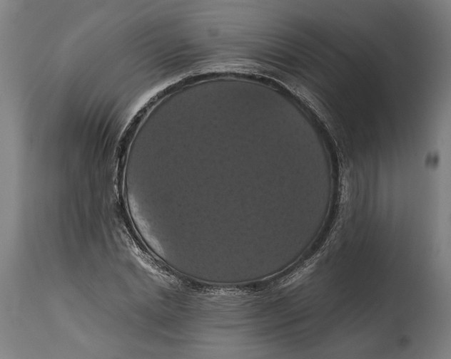 X0000114640830200911101256