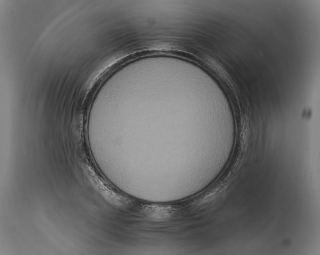 X0000114640831200911101256