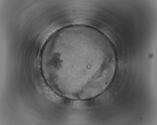 X0000114640832200911101256
