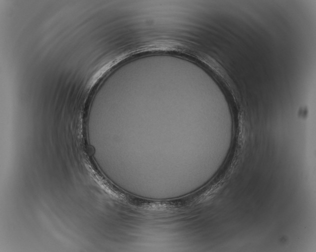 X0000114640834200911101256