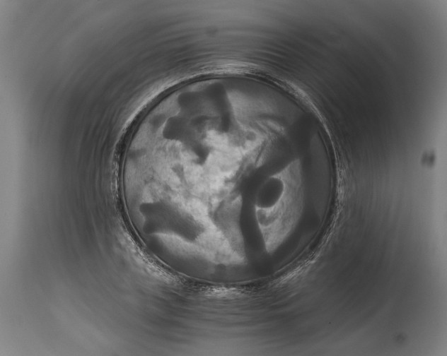 X0000114640835200911101256