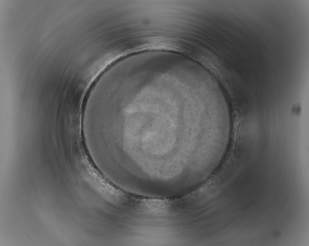 X0000114640836200911101256
