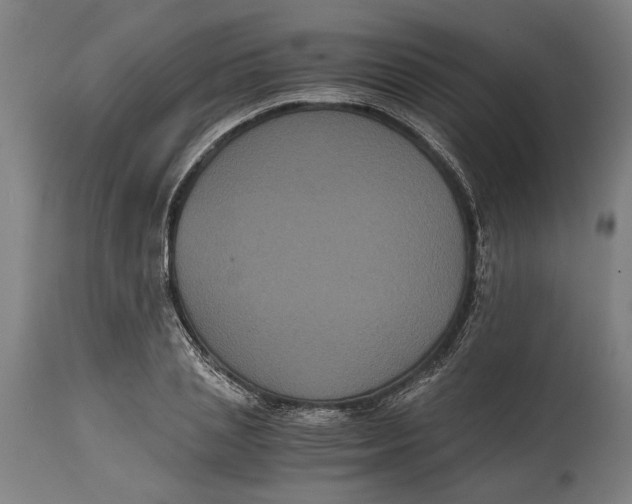X0000114640837200911101256
