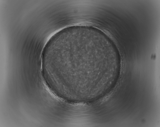 X0000114640838200911101256