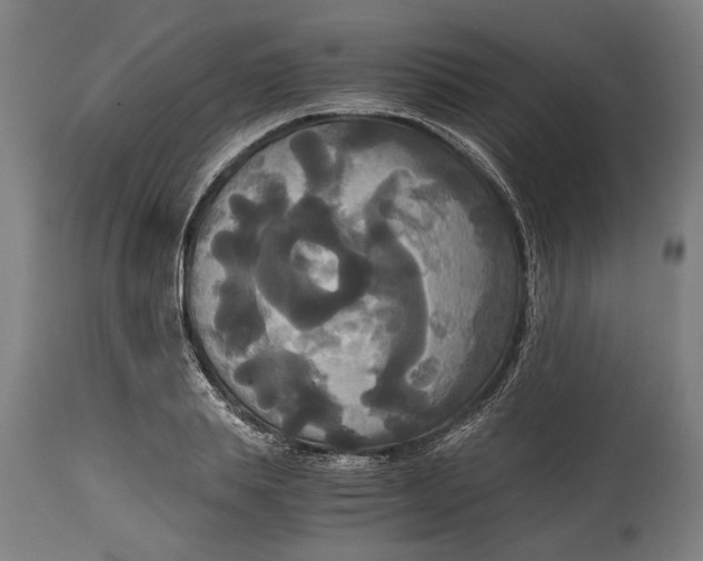 X0000114640839200911101256