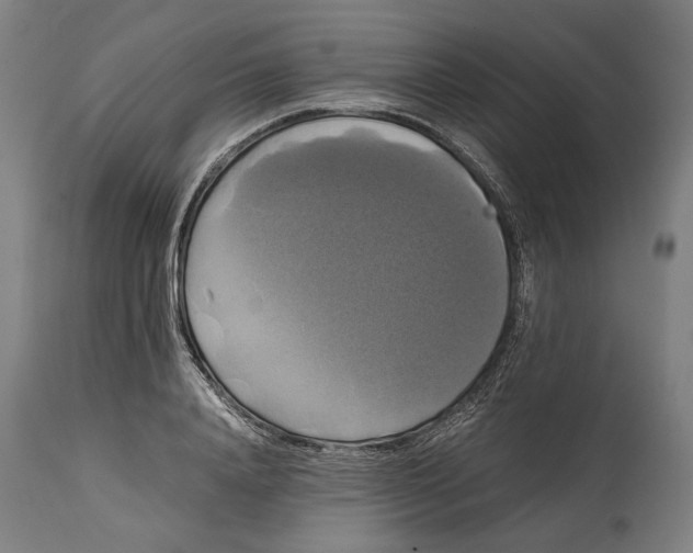 X0000114640840200911101256