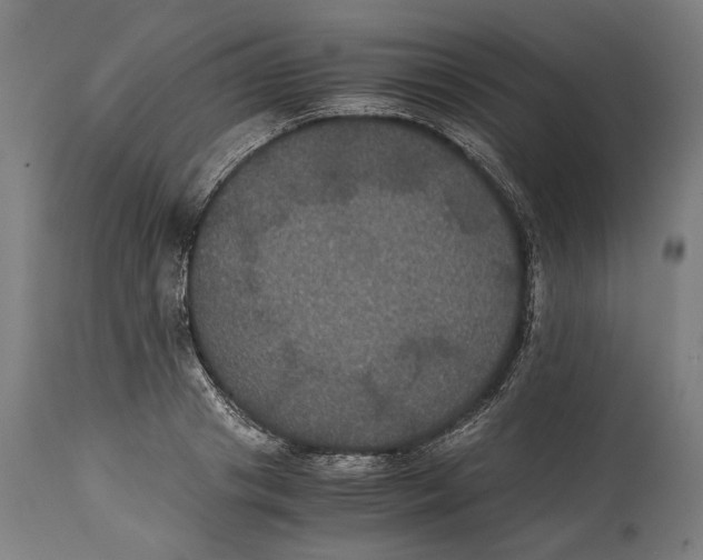 X0000114640841200911101256