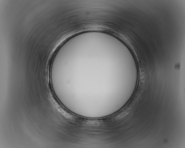 X0000114640843200911101256