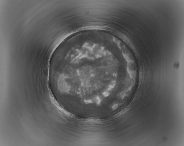 X0000114640844200911101256