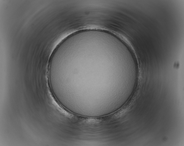 X0000114640847200911101256