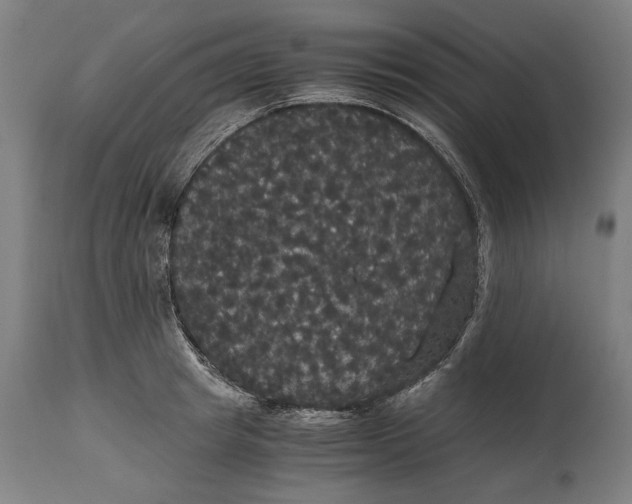 X0000114640849200911101256