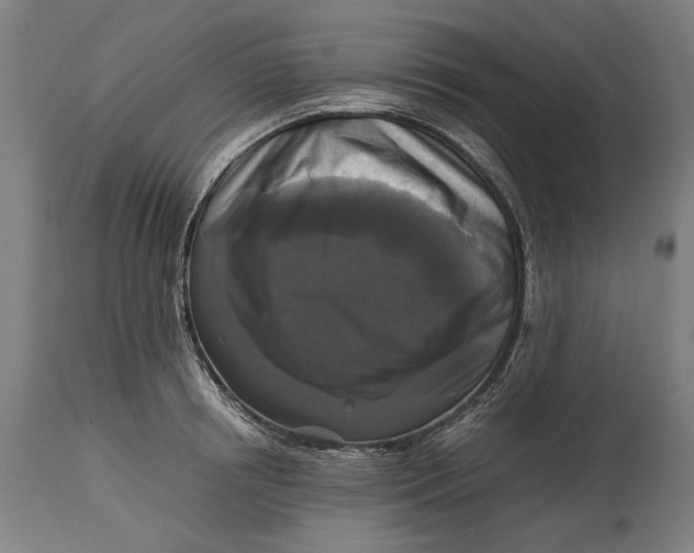 X0000114640850200911101256