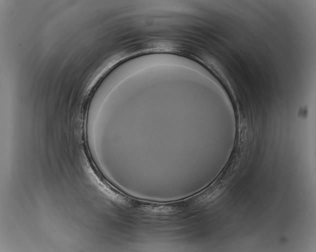 X0000114640851200911101256