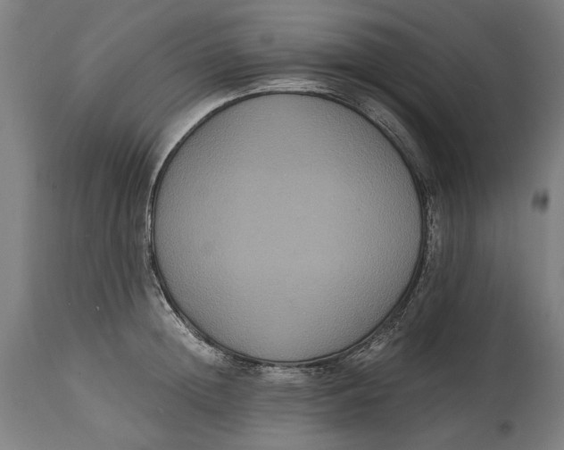 X0000114640852200911101256