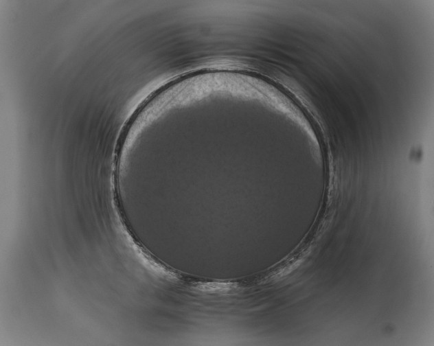 X0000114640853200911101256