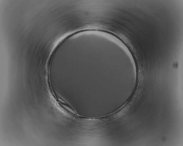 X0000114640854200911101256