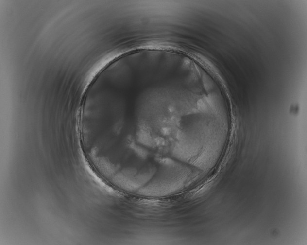 X0000114640855200911101256