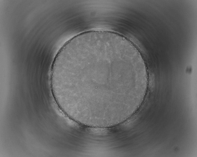 X0000114640856200911101256