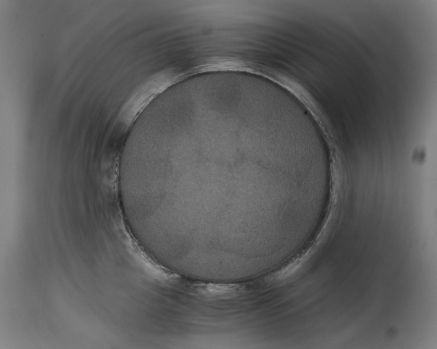 X0000114640857200911101257