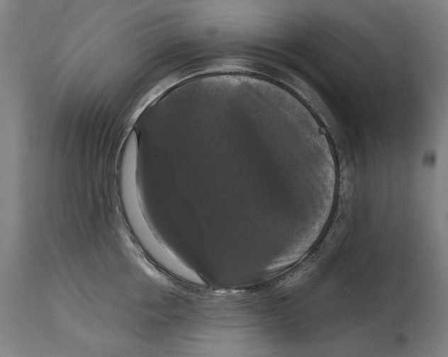 X0000114640858200911101257
