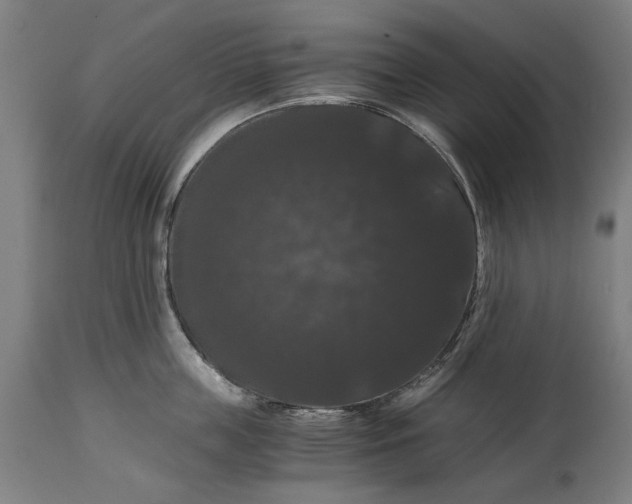 X0000114640859200911101257