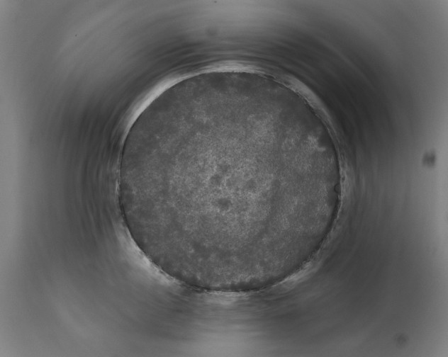 X0000114640860200911101257