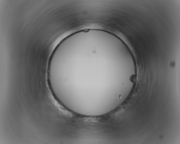 X0000114640861200911101257