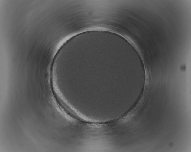 X0000114640862200911101257