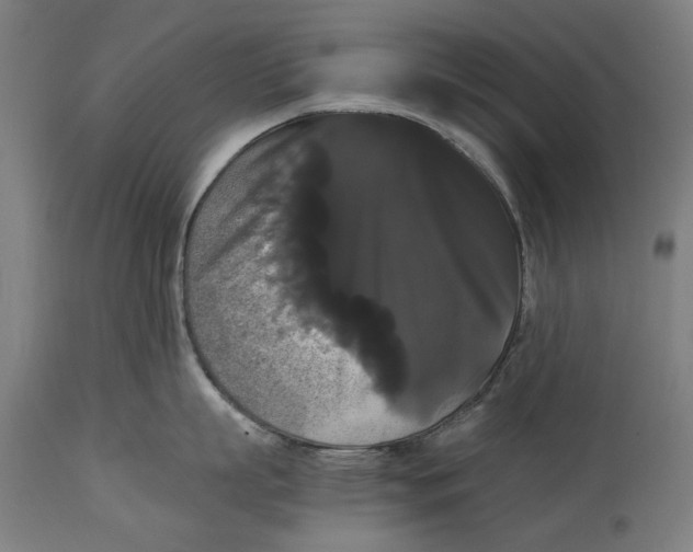 X0000114640863200911101257